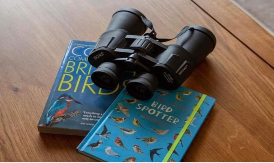 Вілла The Gull & Puffin Cresswell Cresswell  Екстер'єр фото